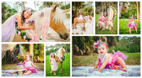 Hughes Unicorn Edited