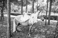 Lindsay Unicorn Edited