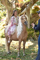 A&A Unicorn unedited