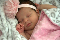 D'Amico Newborn unedited